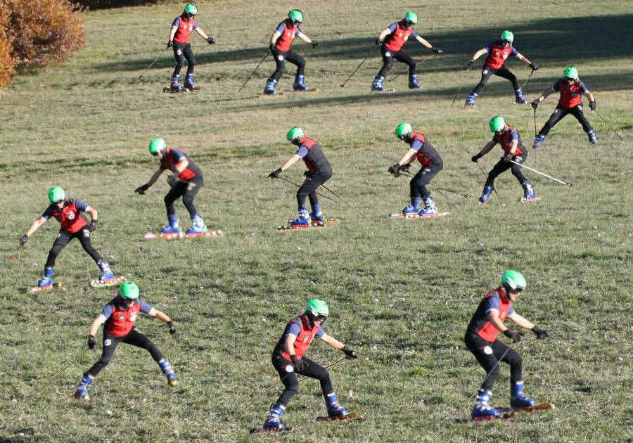 Movimento Base Erba1 Image