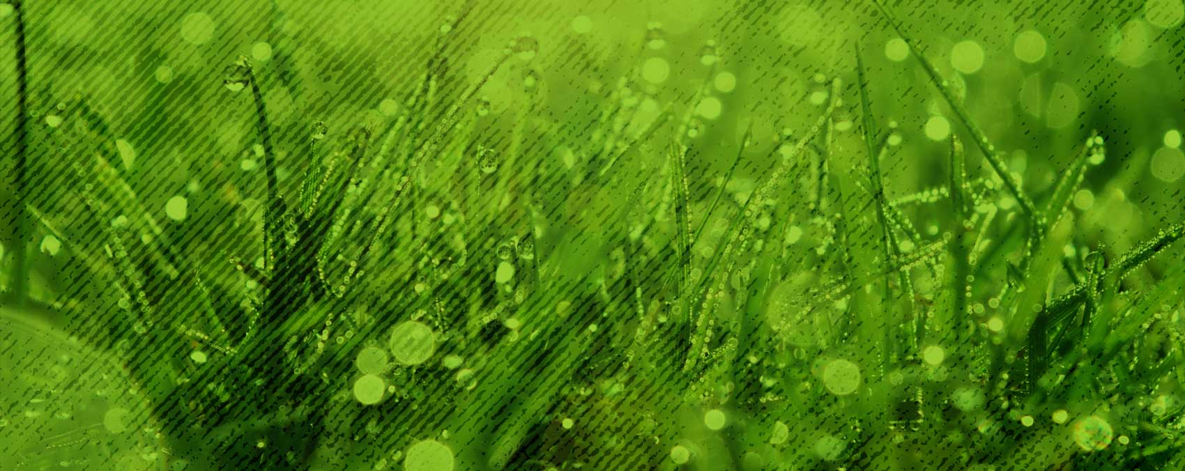 Technika jízdy pro pokročilé